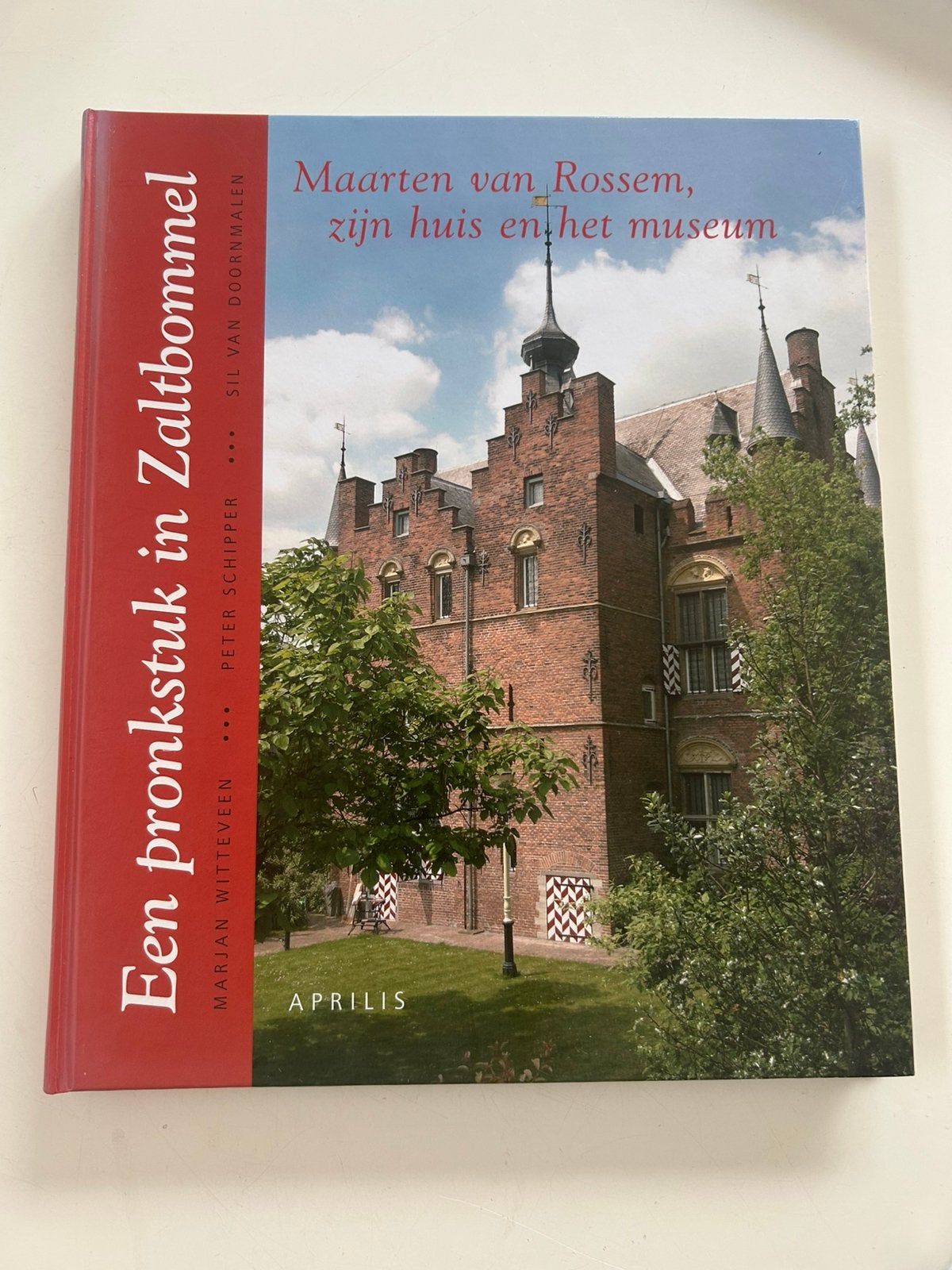 Een pronkstuk in Zaltbommel Maarten van Rossem huis + museum, Ophalen of Verzenden, Gelezen