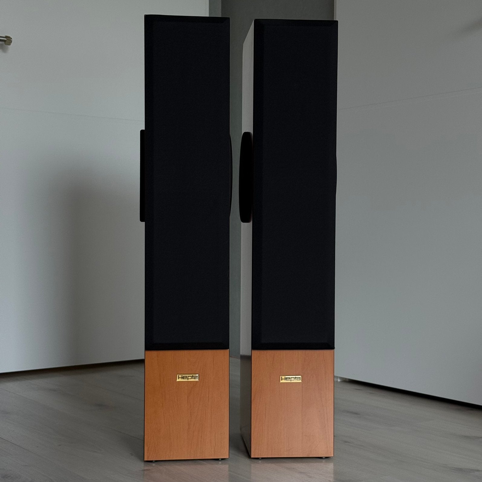 Hepta Four Tune mk2 Luidsprekers, Vloerstaande luidspreker, Zo goed als nieuw, Basreflex, Ophalen