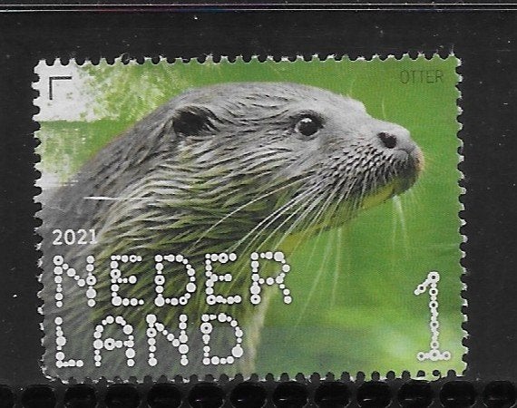 2021, De Onlanden, Otter [3918] (K0910), Ophalen of Verzenden