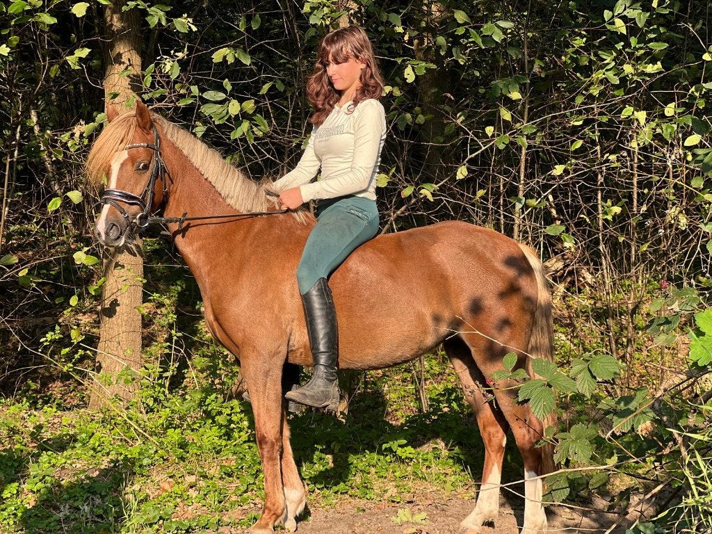 Super lieve B kinderpony, Dieren en Toebehoren, Merrie, 0 tot 2 jaar, B pony (1.17m tot 1.27m), Recreatiepony