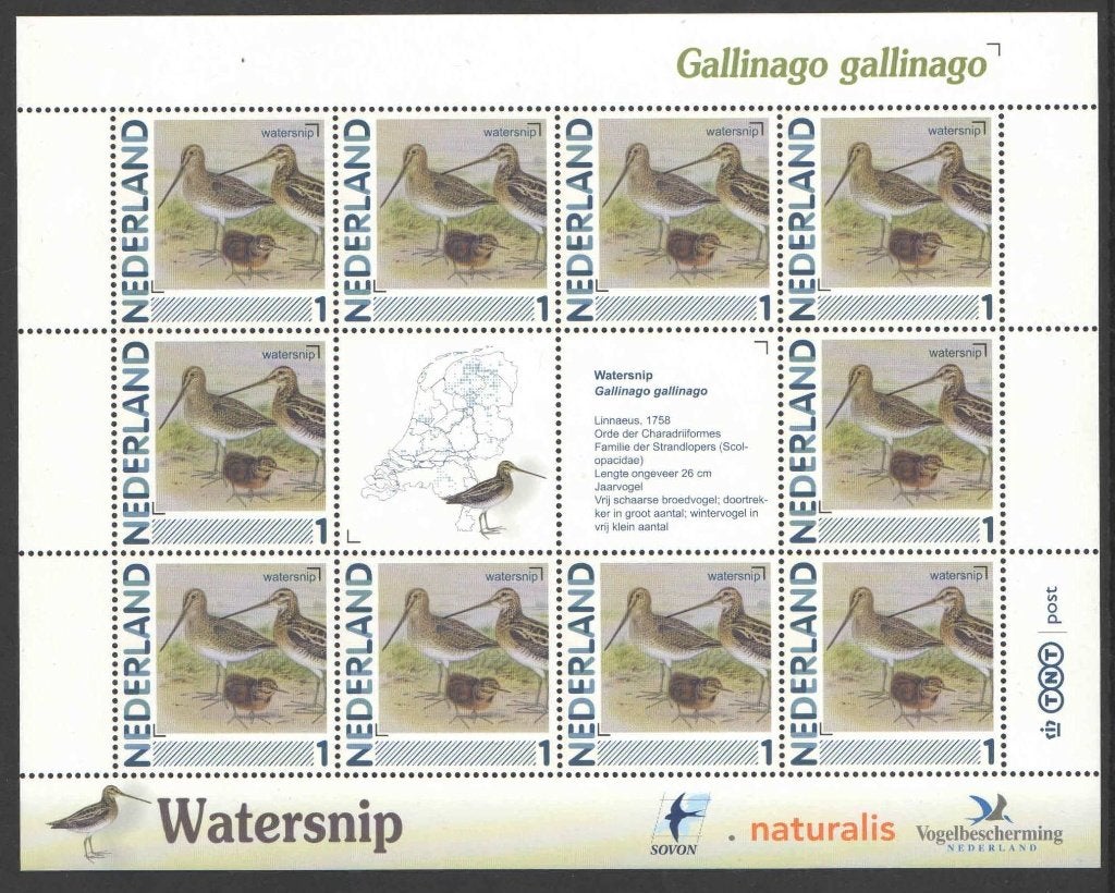 Postzegels vogels in Nederland: Watersnip, Postzegels en Munten, Ophalen of Verzenden, Na 1940, Postfris