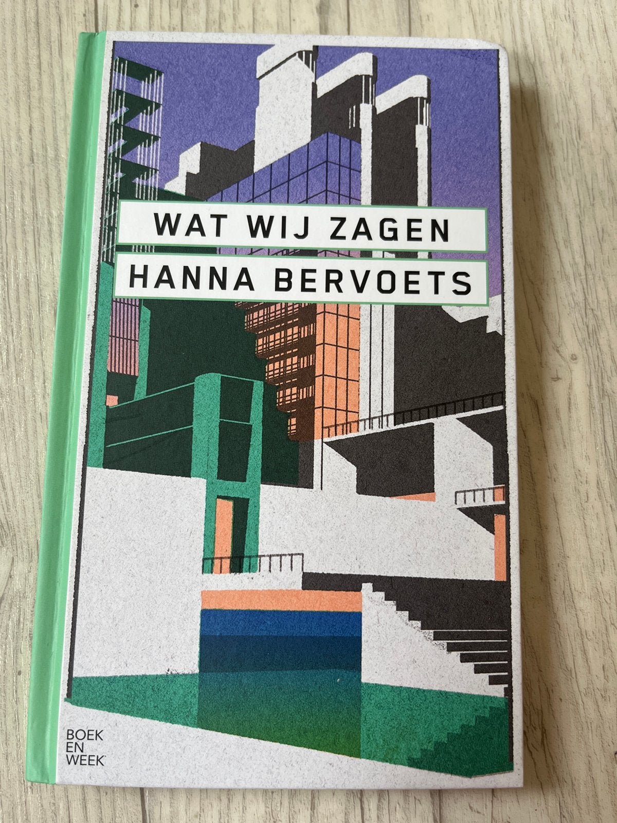 Wat Wij Zagen - Hanna Bervoets (Boek en Week editie), Ophalen of Verzenden, Zo goed als nieuw, Nederland