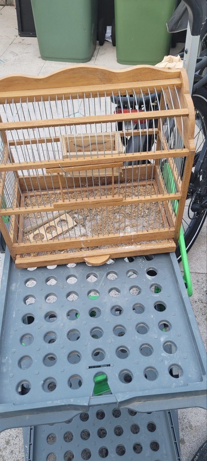 Vogel kooien, Ophalen, Gebruikt, Hout, Vogelkooi