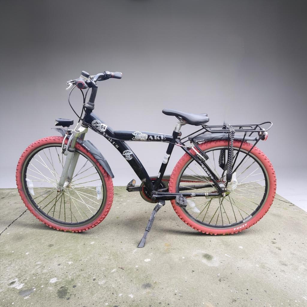 batavus snake 26 inch, Ophalen, Gebruikt, 26 inch of meer