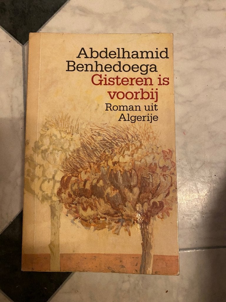Gisteren is voorbij door Abdelhamid Benhedoega, Boeken, Ophalen of Verzenden, Gelezen