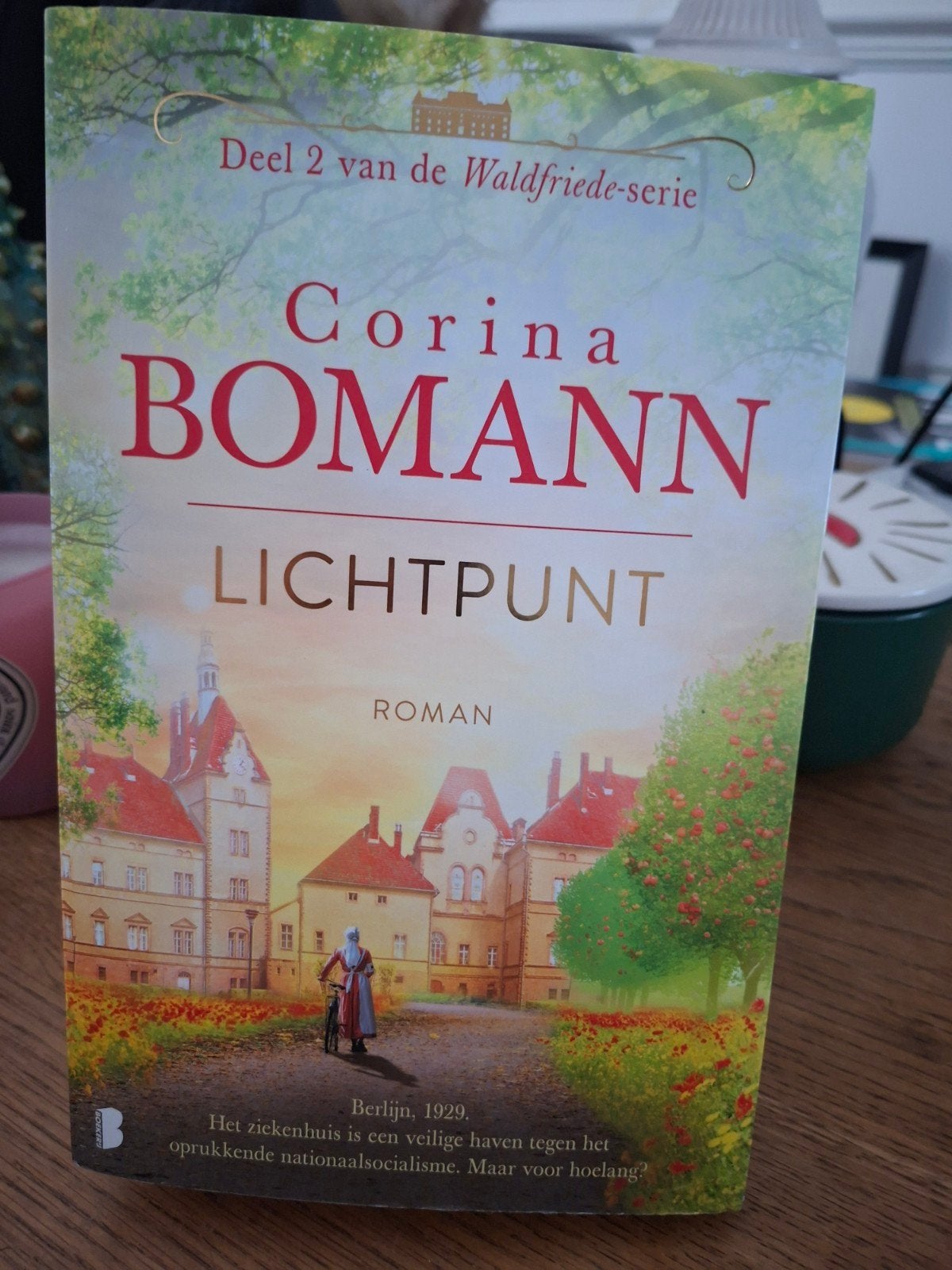 Corina Bomann - Lichtpunt, Verzenden, Zo goed als nieuw, Corina Bomann