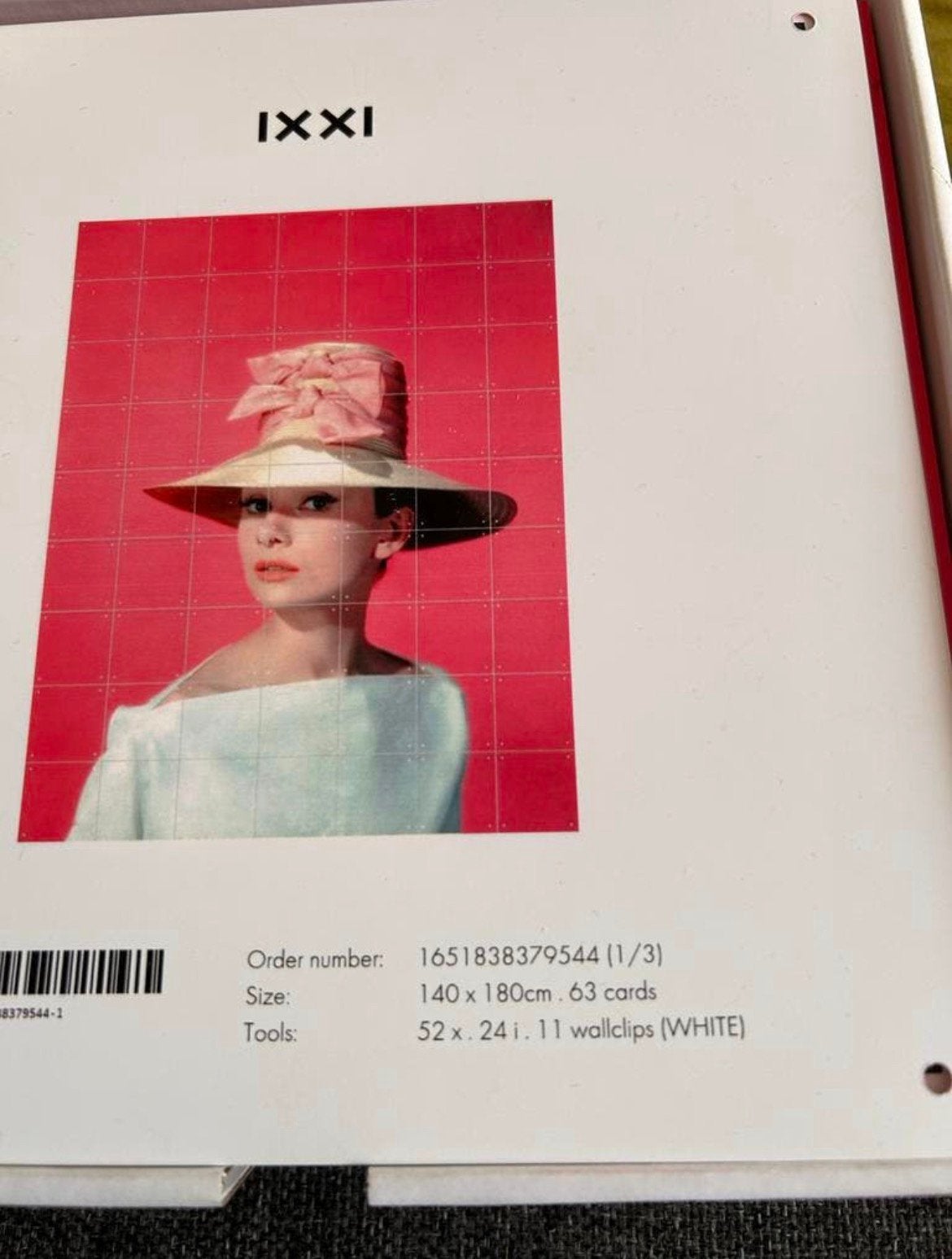 Grote IXXI Audrey Hepburn (vaste prijs)., Huis en Inrichting, Woonaccessoires | Schilderijen, Tekeningen en Foto's, Ophalen of Verzenden