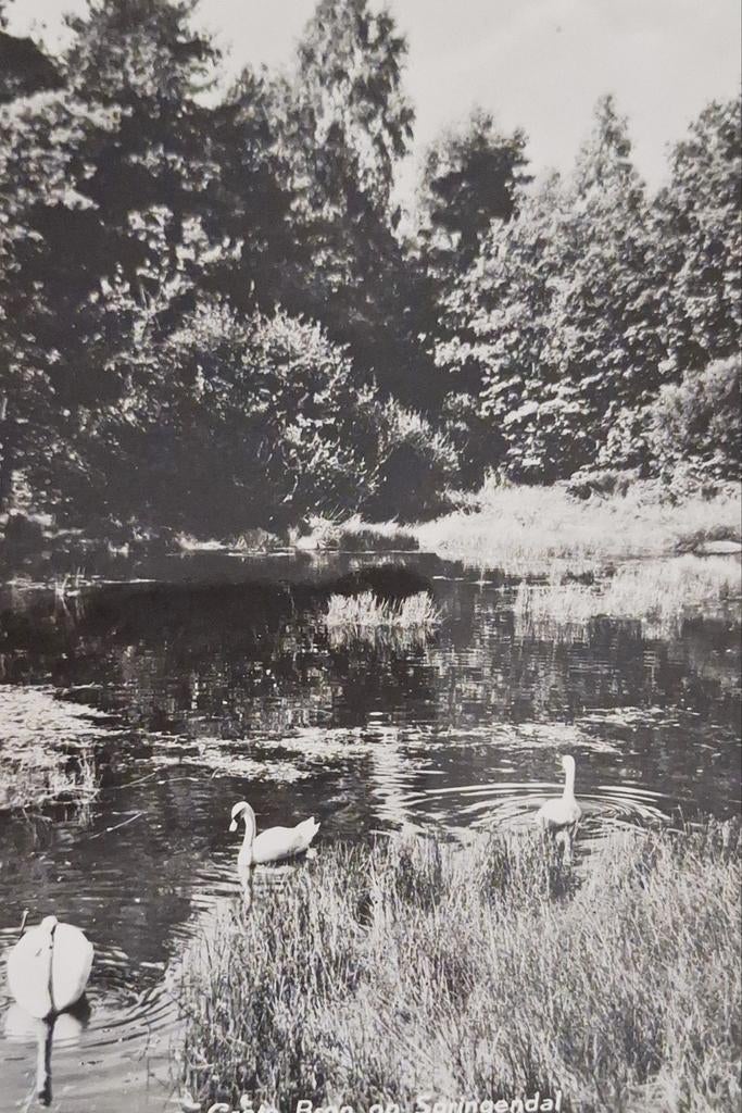 Fotokaart Ootmarsum - Grote Bron op Springendal - 1976, Ophalen of Verzenden, 1960 tot 1980, Ongelopen, Overijssel