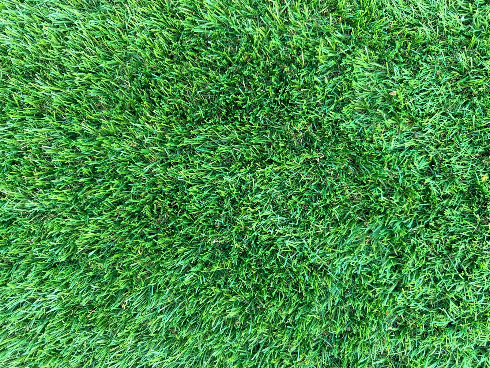Kunstgras Naturel 2.0 (53 m2), Ophalen, Gebruikt, 20 m² of meer, Kunstgras