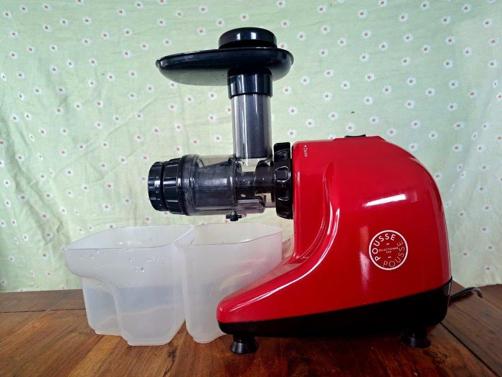Horizontale slowjuicer - Zen & Pur, Ophalen, Gebruikt, Elektrisch, Slowjuicer