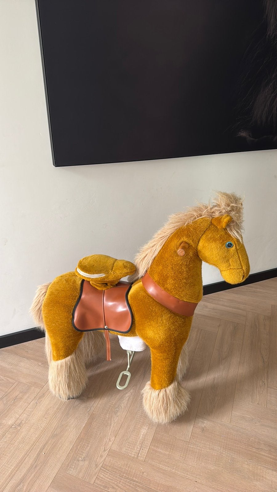 Officiele ponycycle december tip, Kinderen en Baby's, Ophalen, Zo goed als nieuw