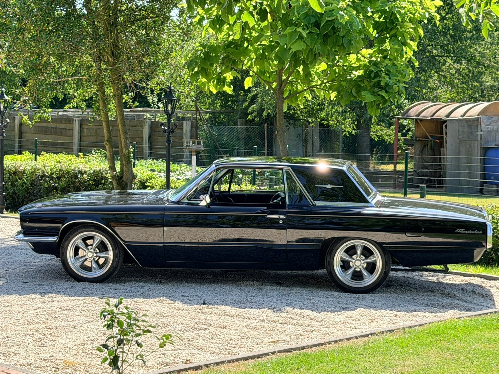 Thunderbird 1966 6,4 liter V8 automaat op Lpg belastingvrij, foto 5