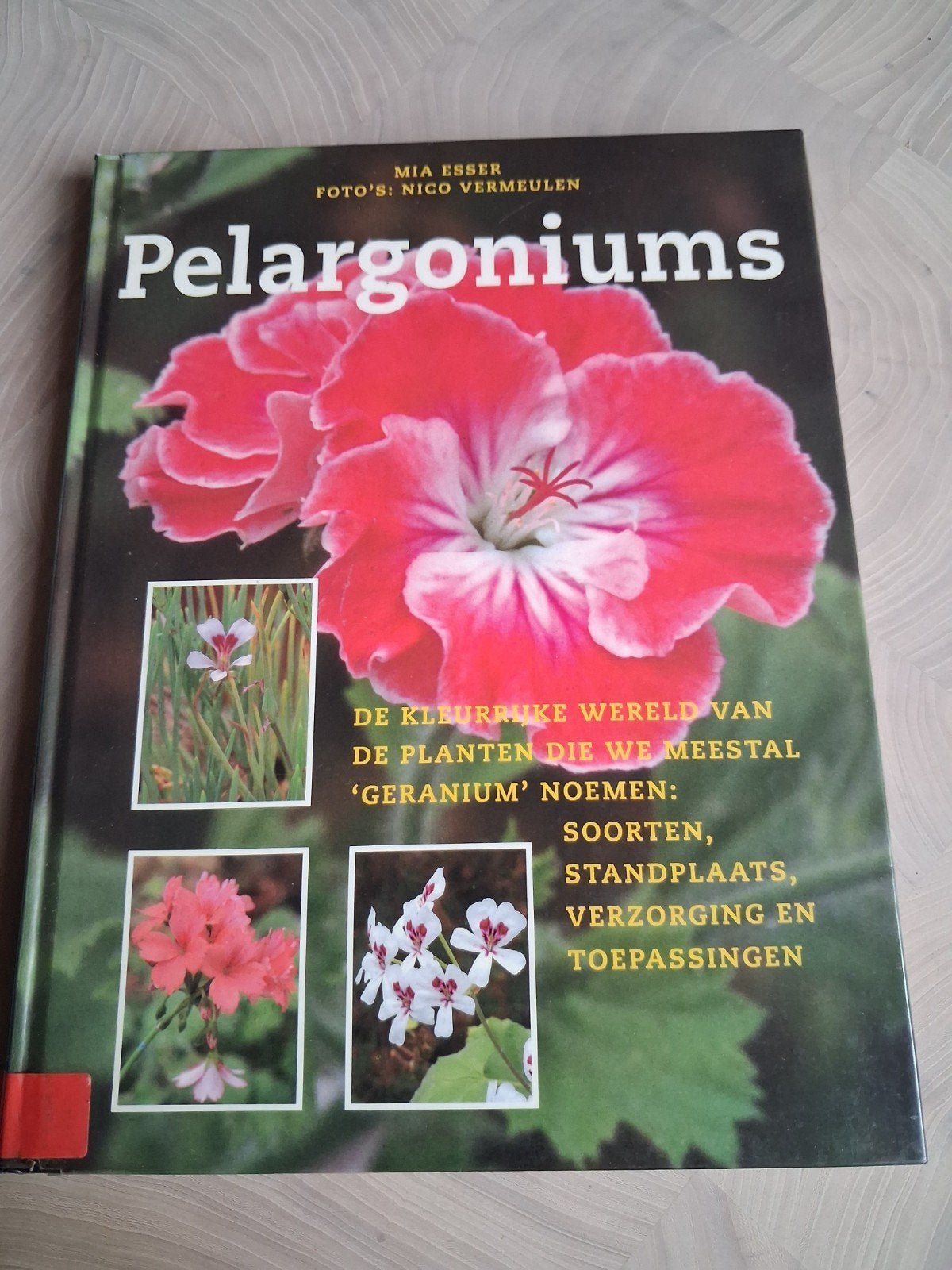 Pelargoniums: De kleurrijke wereld van 'geraniums', Ophalen, Gelezen, Mia Esser, Tuinieren en Tuinplanten