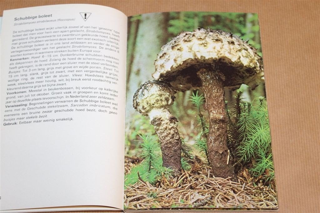 Paddestoelen — Weet Wat U Eet — Herken Dubbelgangers, Ophalen of Verzenden, Gelezen, Natuur algemeen