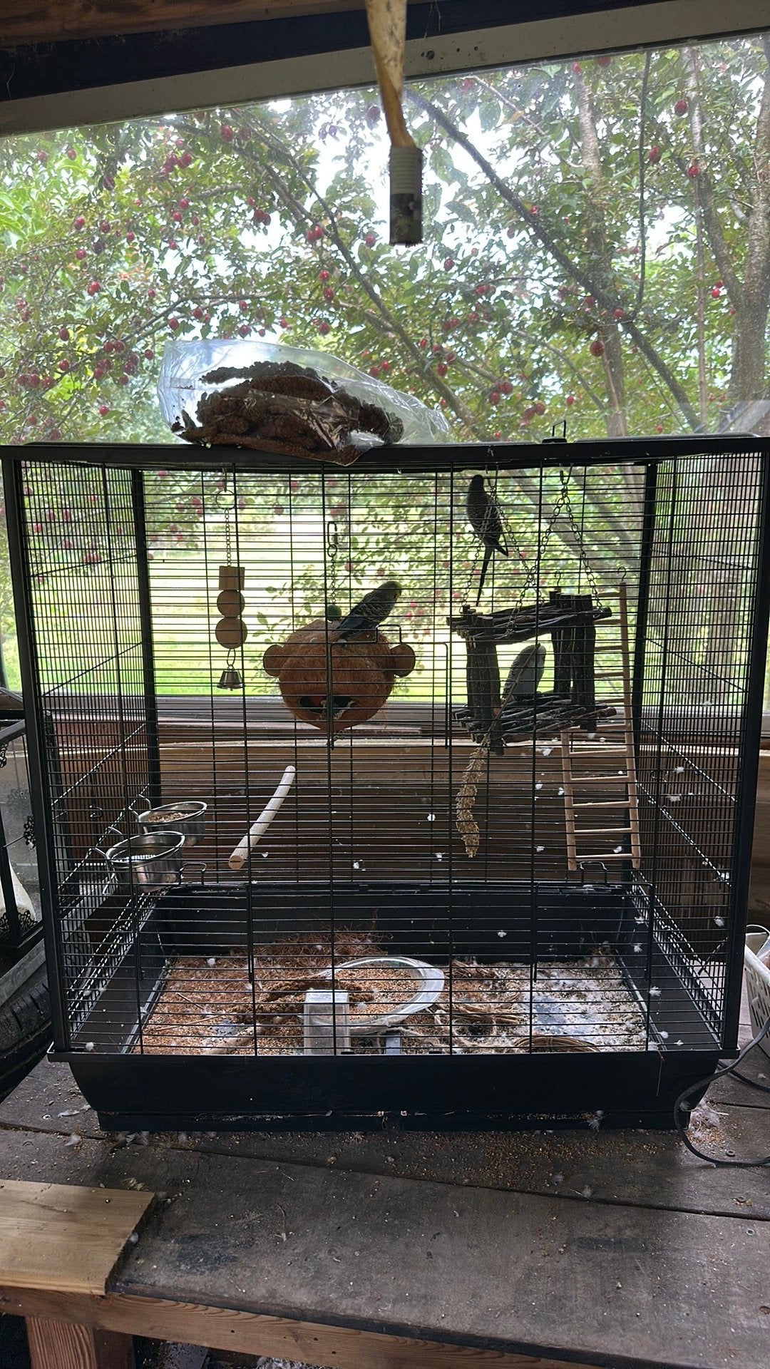 Grote parkiet kooi, Ophalen of Verzenden, Zo goed als nieuw, Hout, Vogelkooi
