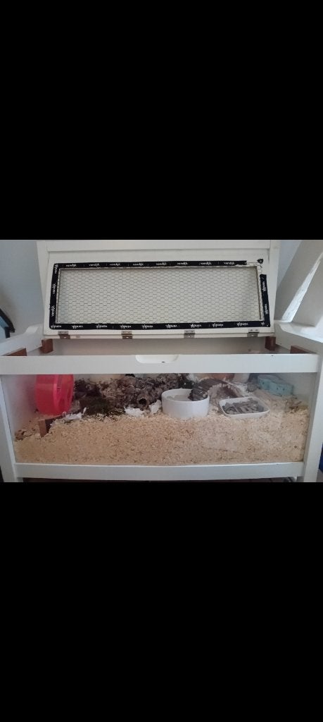 Hamsterhok, Gebruikt, Muis, Hok, 75 tot 110 cm