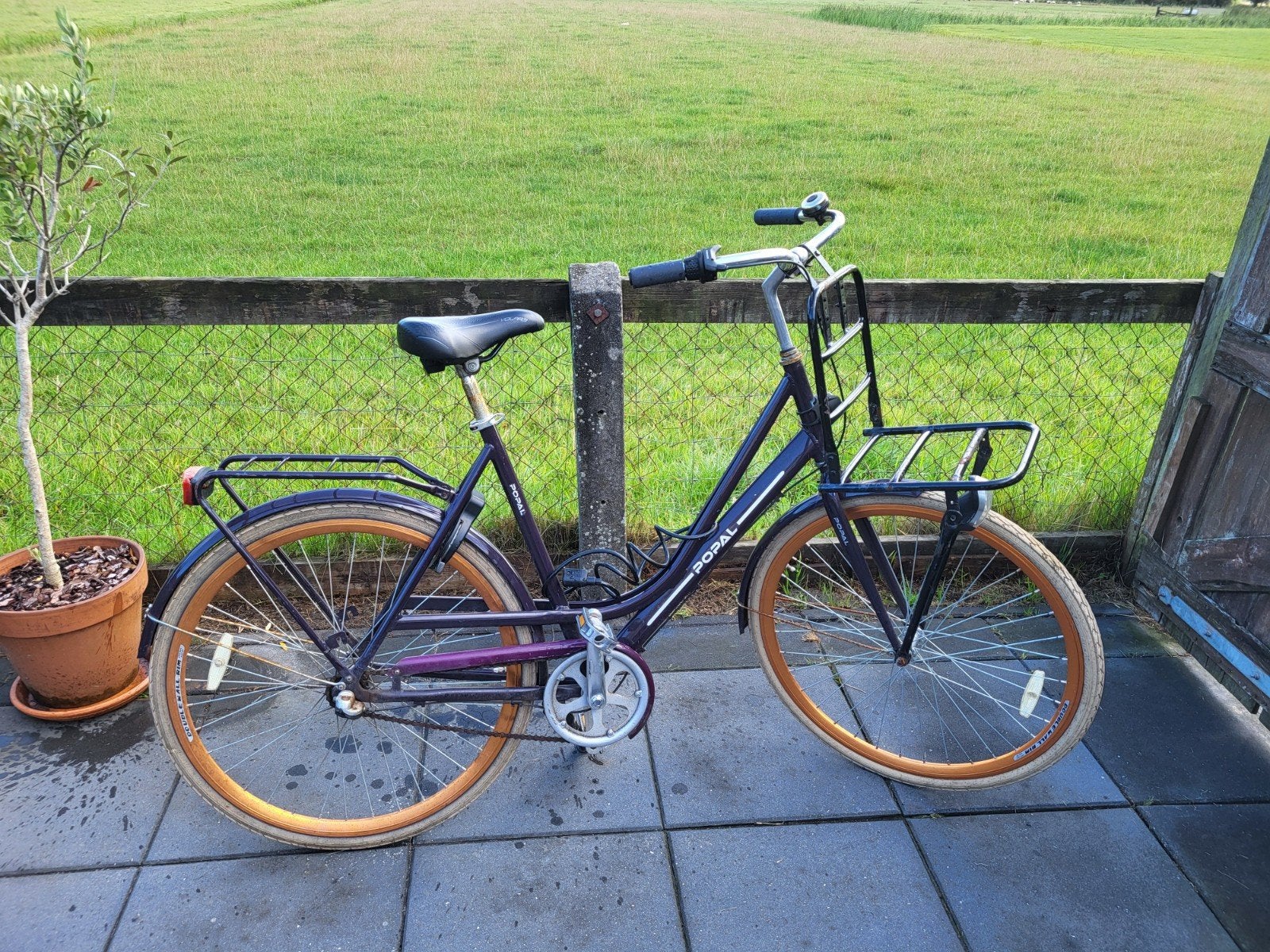 Popal fiets paars met koperen velgen, Ophalen, Terugtraprem, Gebruikt, Versnellingen