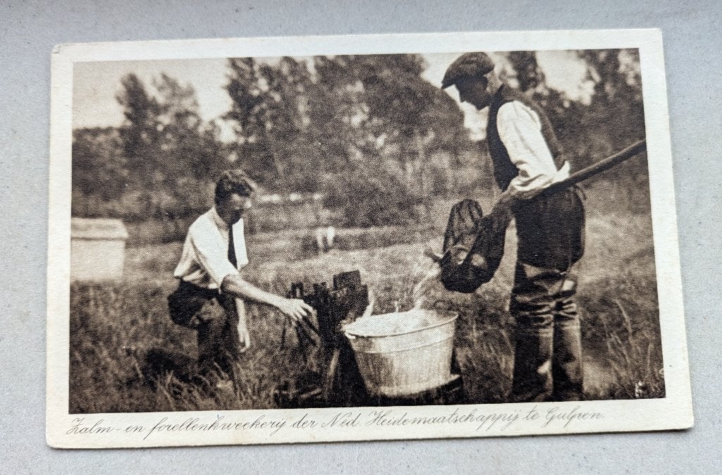 Gulpen - Zalm Forellenkwekerij Ned Heidemaatschappij, Ophalen of Verzenden, 1920 tot 1940, Ongelopen, Limburg