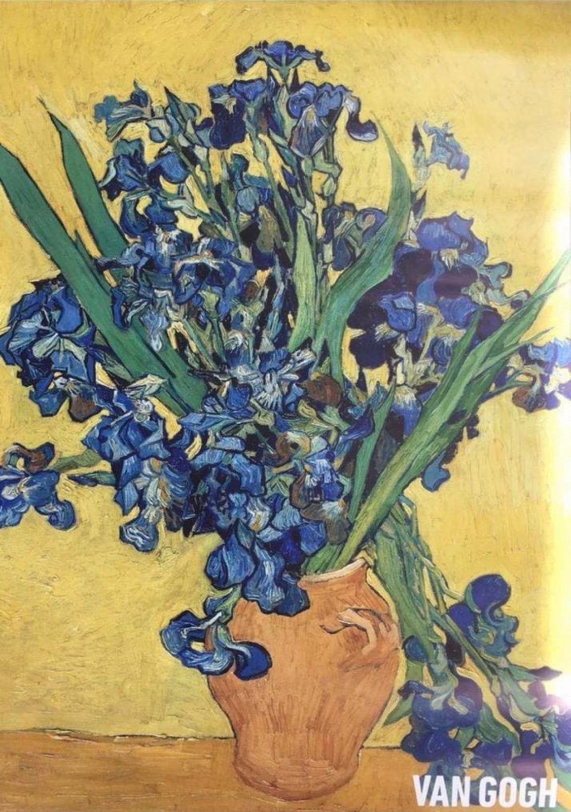 Nieuwe A2 poster van Van Gogh, met een prachtig landschap 59, Ophalen, Nieuw, Met lijst