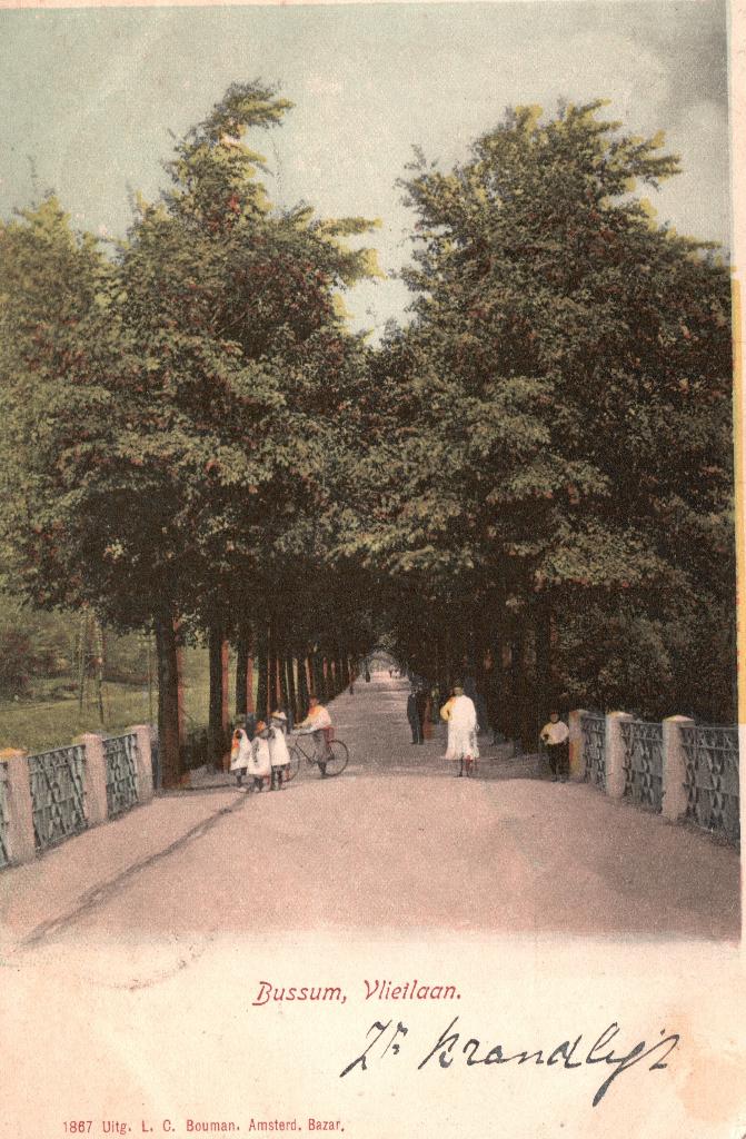 Bussum, Vlietlaan (1903) 127910, Verzamelen, Ansichtkaarten | Nederland, Ophalen of Verzenden, Voor 1920, Gelopen, Noord-Holland