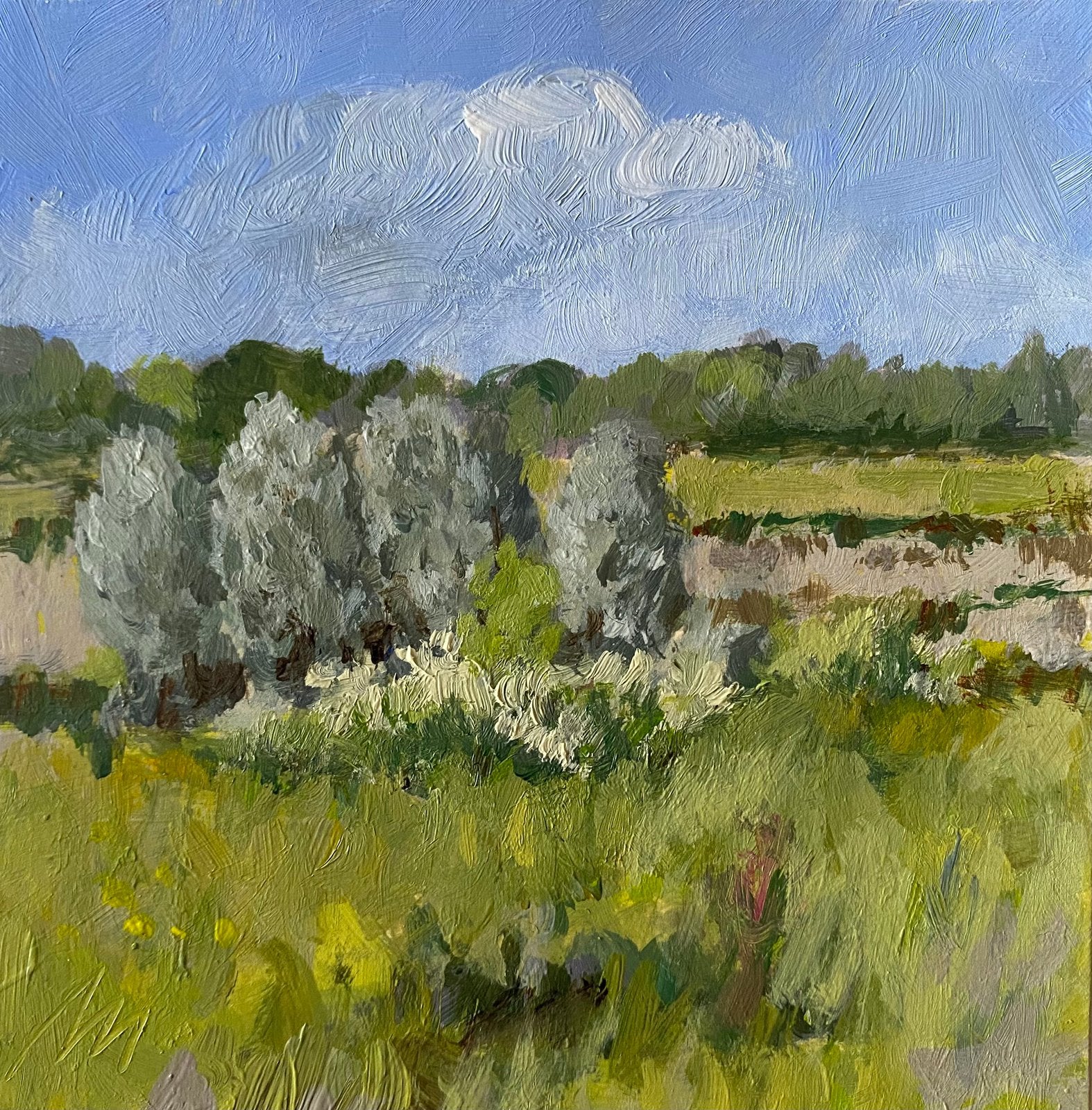 Landschap, Antiek en Kunst, Kunst | Schilderijen | Klassiek, Ophalen of Verzenden