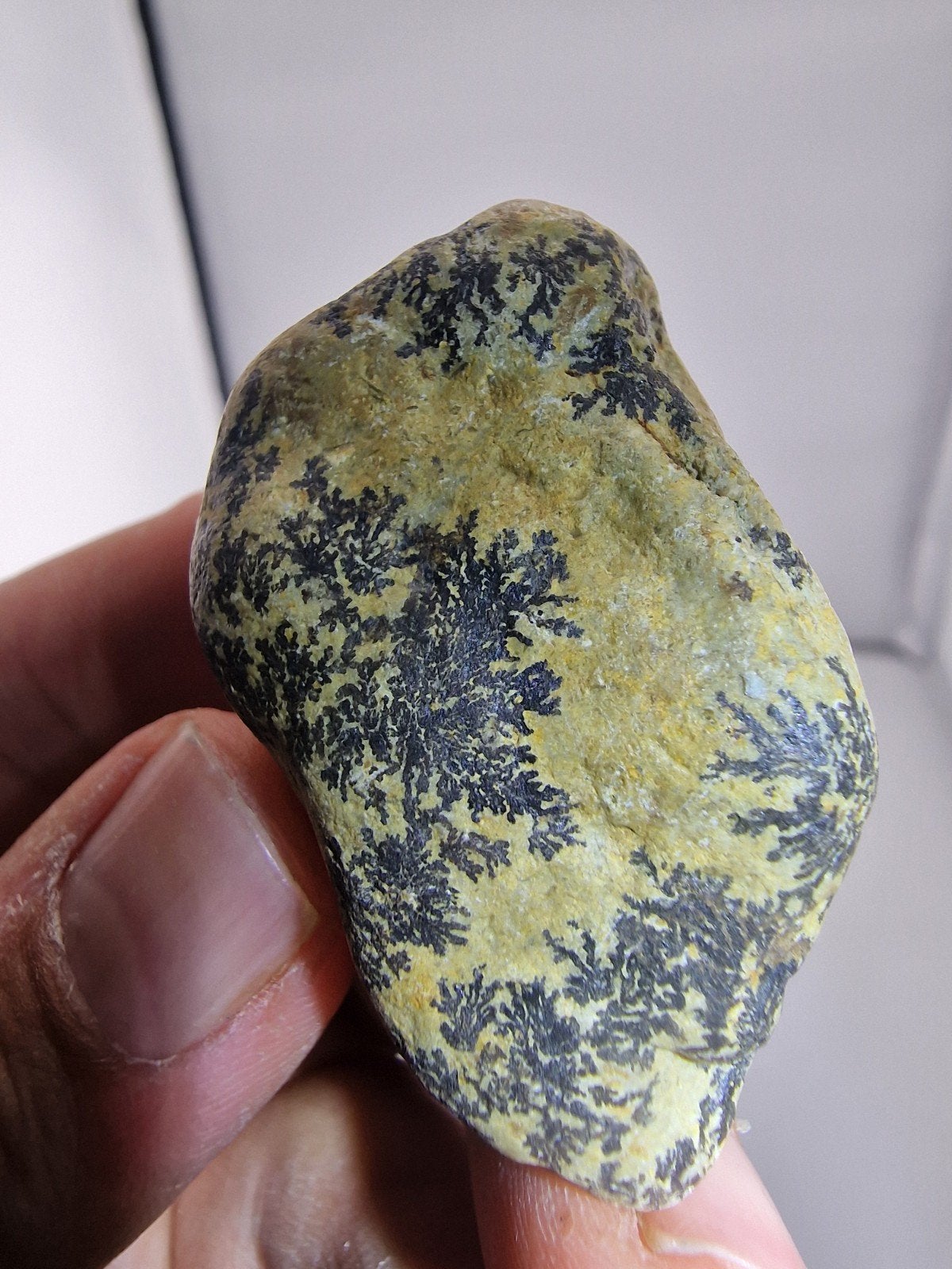 Dendritisch Kalksteen N190 - Unieke Natuurlijke Kunst, Verzamelen, Mineralen en Fossielen, Ophalen of Verzenden