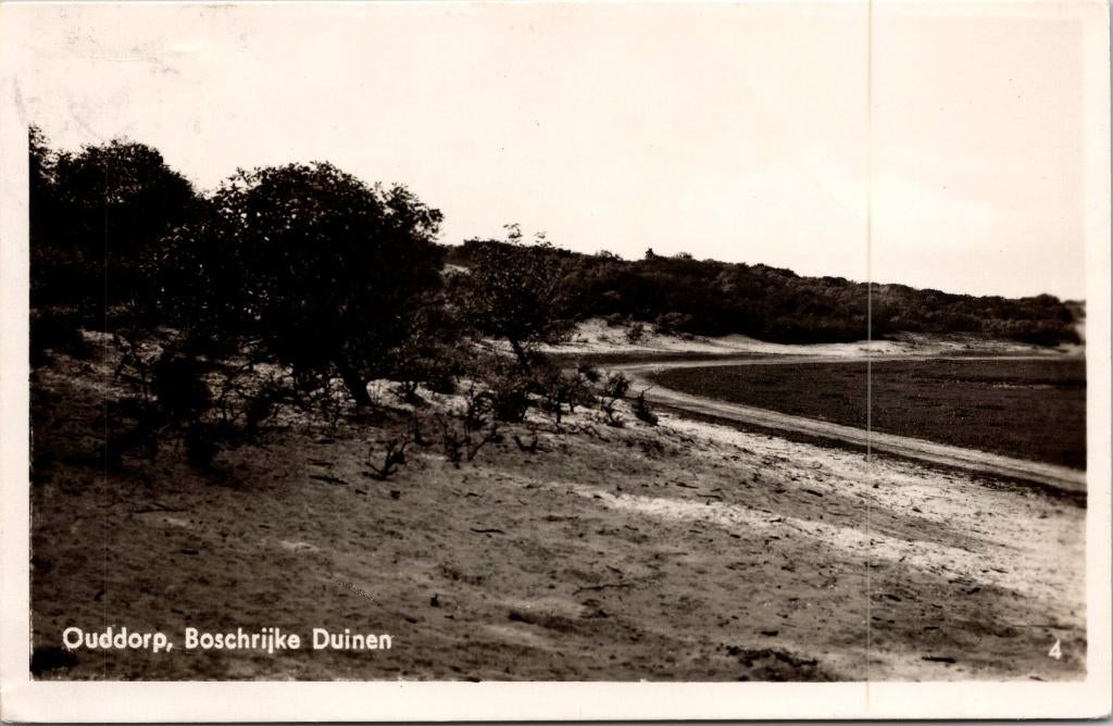Ouddorp - Boschrijke Duinen (1949), Verzenden, 1940 tot 1960, Gelopen, Zuid-Holland