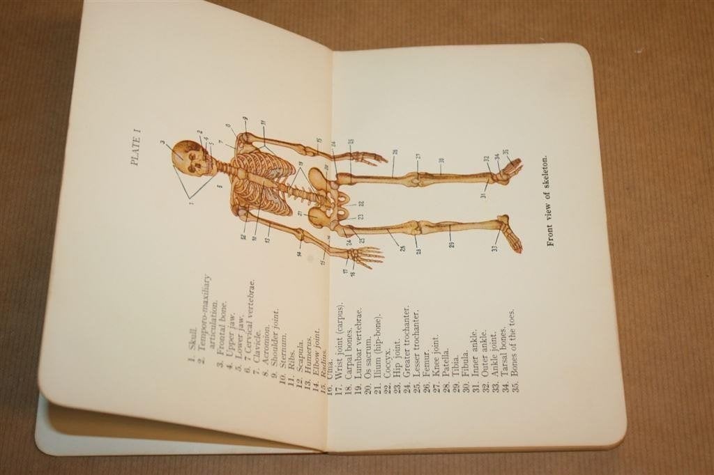 Allmans Anatomical Atlas — Kleurenplaten Vintage 1939, Ophalen of Verzenden, Gelezen, Natuurwetenschap