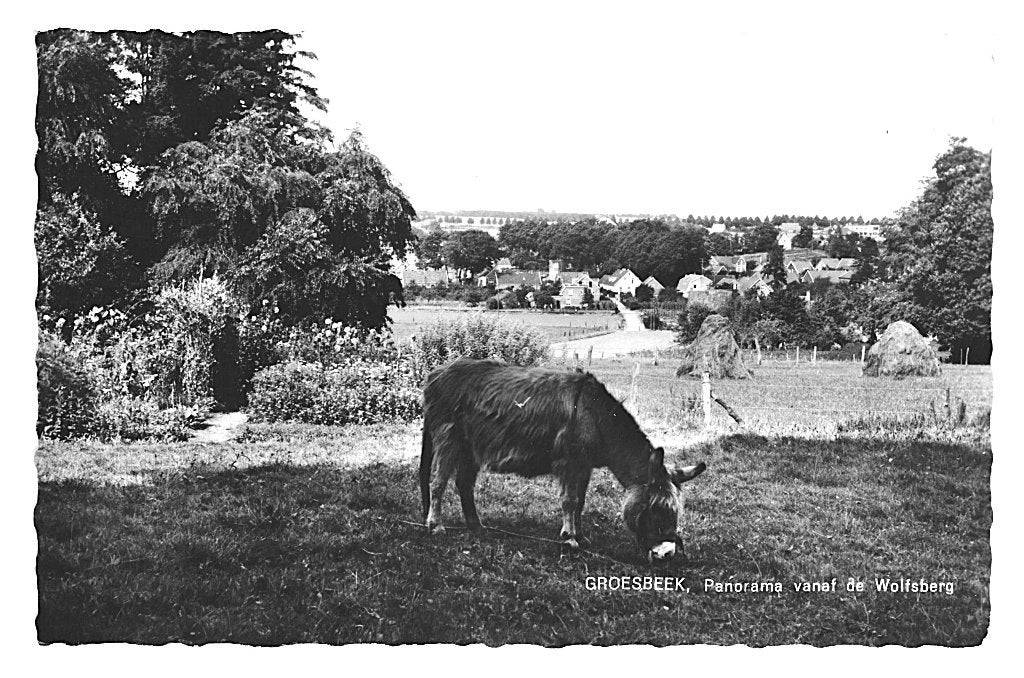 949066 Groesbeek Gld 1962 _Nette oude kaart Onbeschreven, Ophalen of Verzenden, 1960 tot 1980, Ongelopen, Gelderland