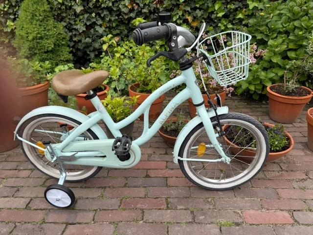 Nette Alpina Ocean 16 inch incl zijwieltjes., Ophalen, Terugtraprem, Gebruikt, Alpina