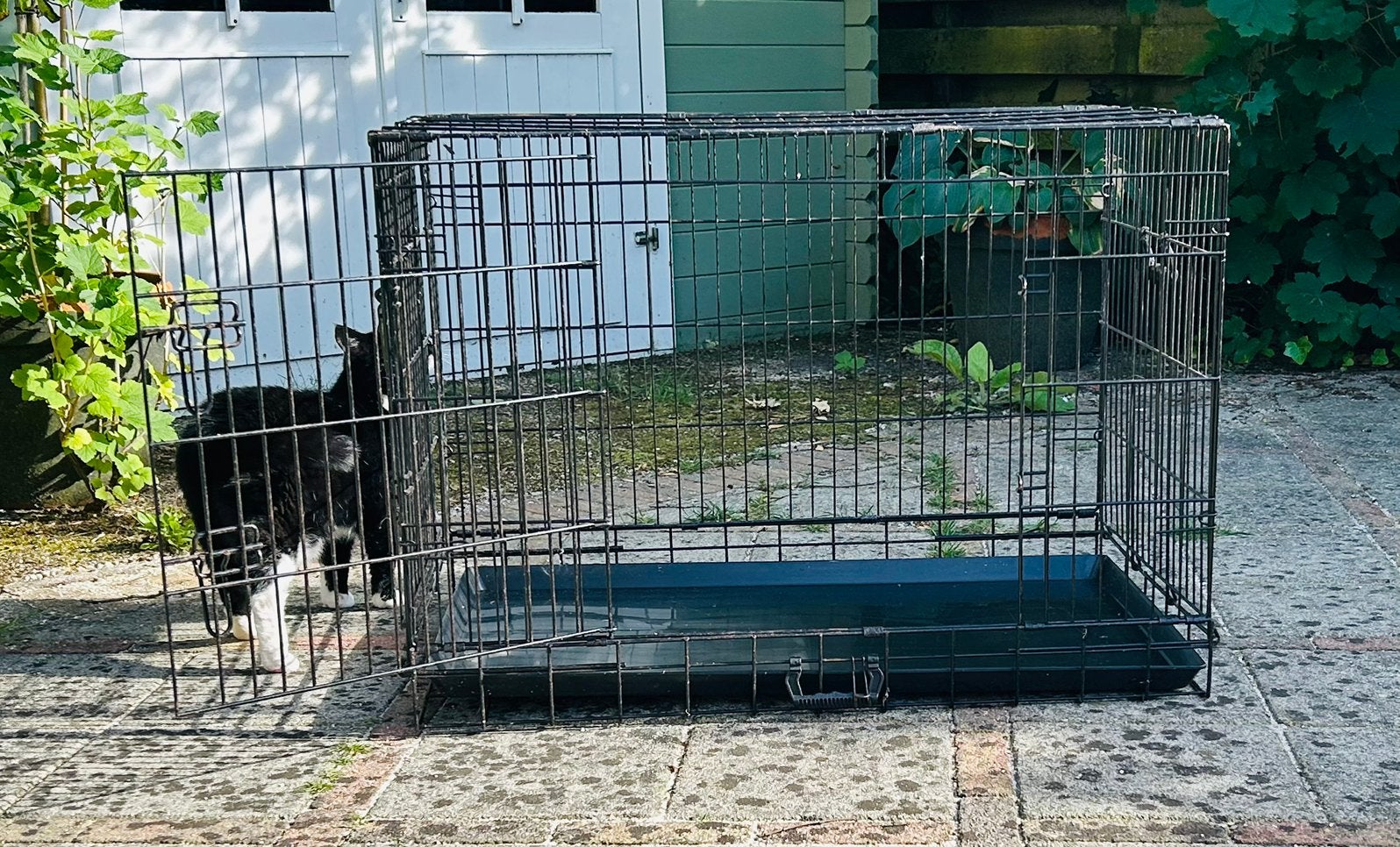 Nette inklapbare honden bench voor hond of kat 90x65x55 cm, Dieren en Toebehoren, Hondenhokken, Ophalen, Gebruikt, 65 tot 100 cm