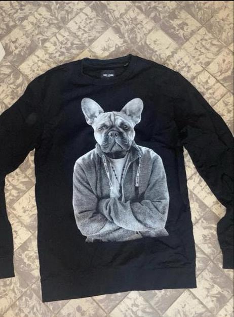 Zwarte sweater met Franse Bulldog, Ophalen of Verzenden, Gedragen, Maat 46 (S) of kleiner, Zwart