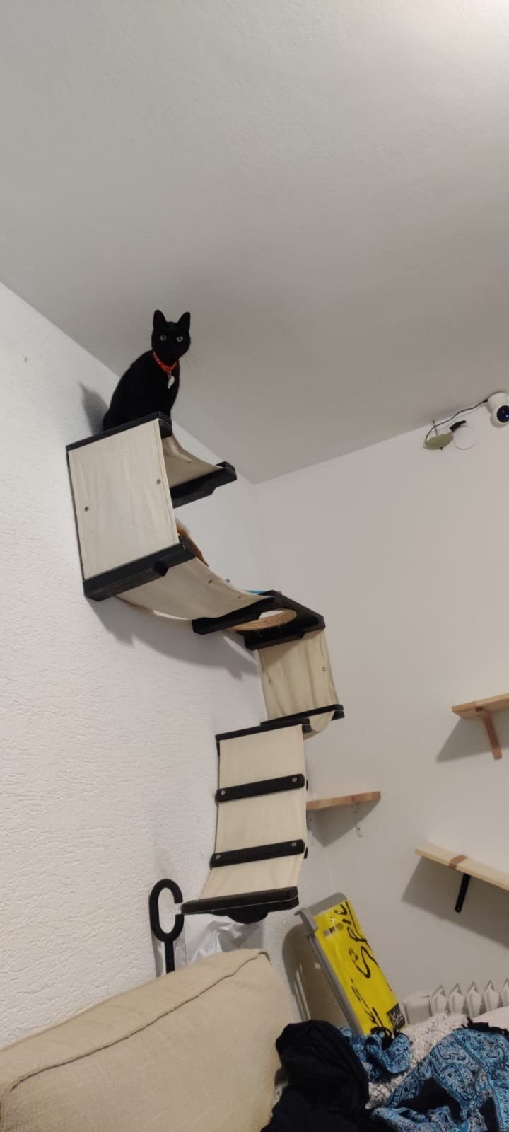 THE CAT MOD wall stairs, Ophalen of Verzenden