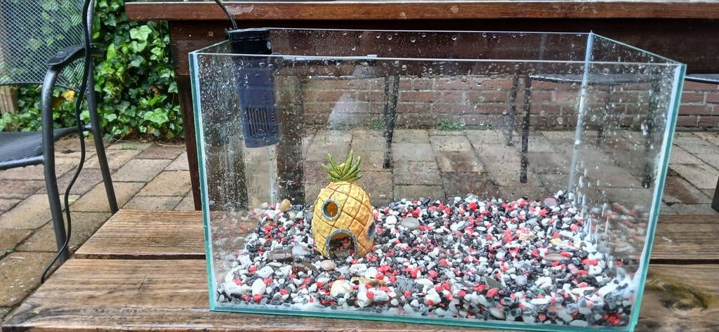 Aquarium 27x28x44cm compleet, zonder vis, Ophalen, Zo goed als nieuw, Leeg aquarium, Tetra