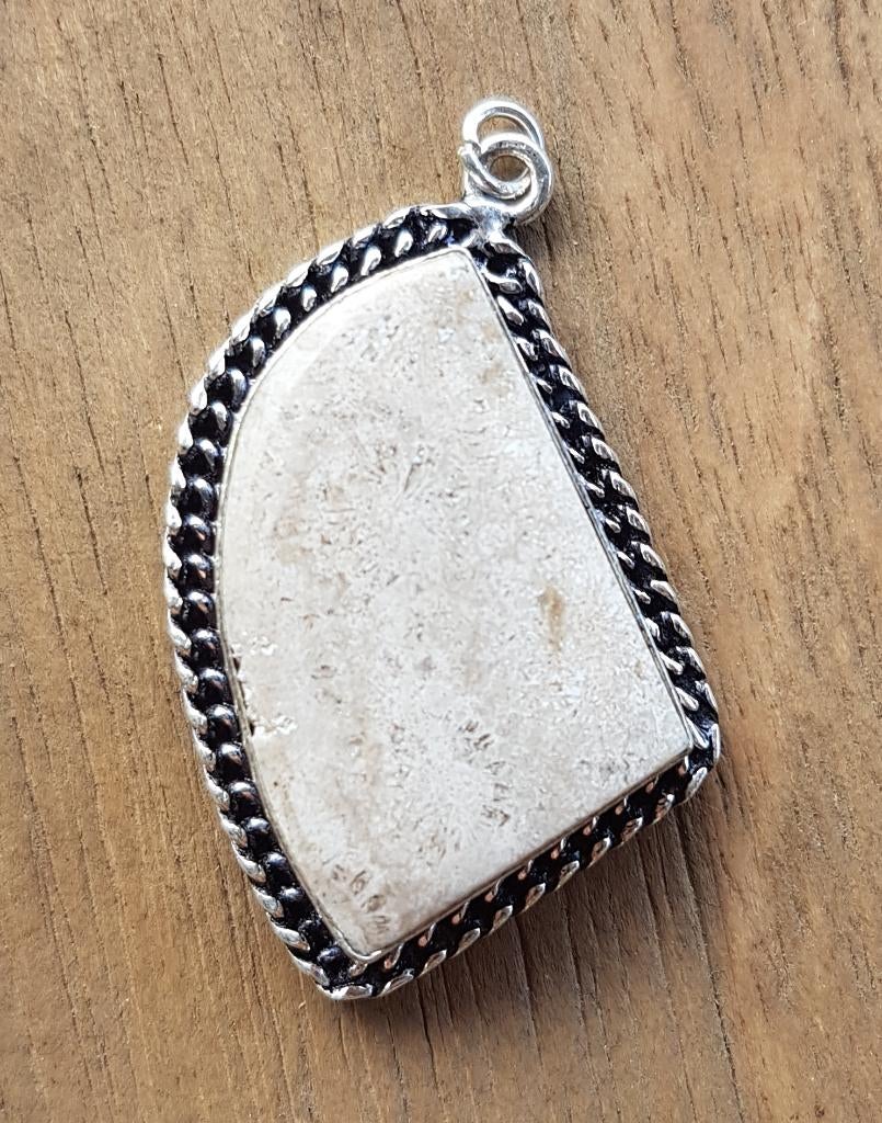 DD08 Ketting hanger versteend koraal in zetting 27x20mm, Verzenden, Beige, Nieuw, Steen of Mineraal