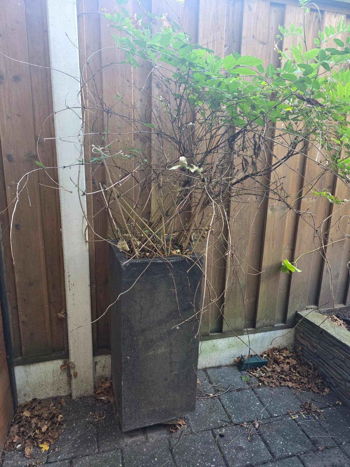 Grote bloembak, Ophalen, Gebruikt, Minder dan 60 cm, Beton