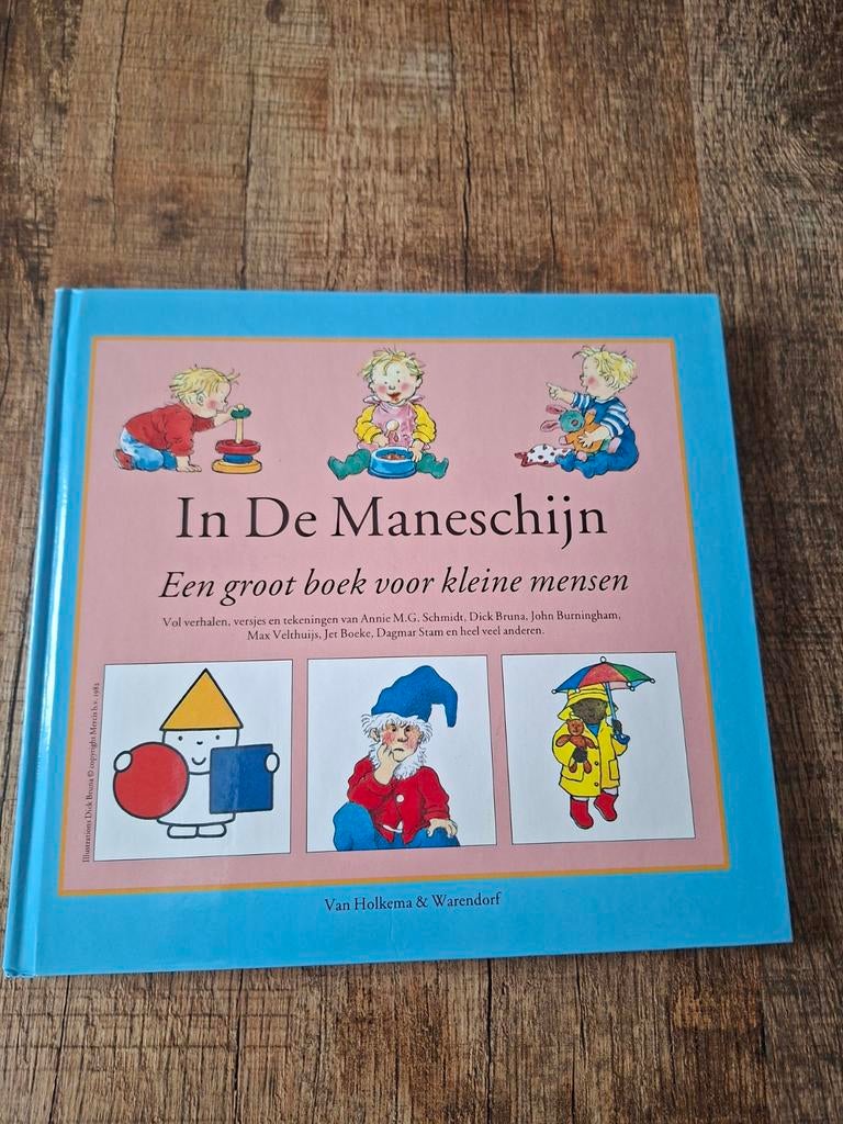 Annie M.G. Schmidt - In de maneschijn, Annie M.G. Schmidt, Fictie algemeen, Ophalen of Verzenden, Zo goed als nieuw