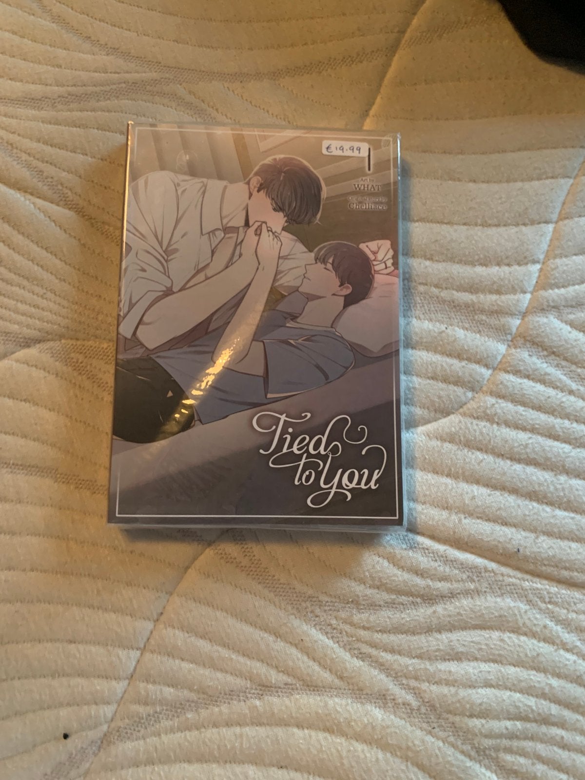 Tied to you 1 bl manga, Cd's en Dvd's, Ophalen, Zo goed als nieuw