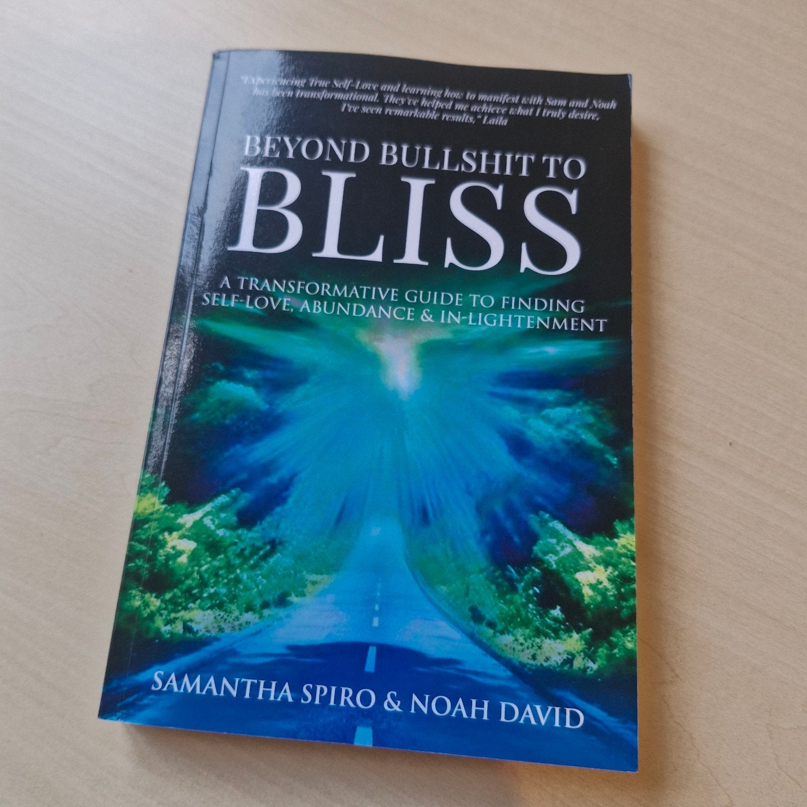 Beyond Bullshit to Bliss: Zelfliefde & Verlichting, Boeken, Ophalen of Verzenden, Zo goed als nieuw