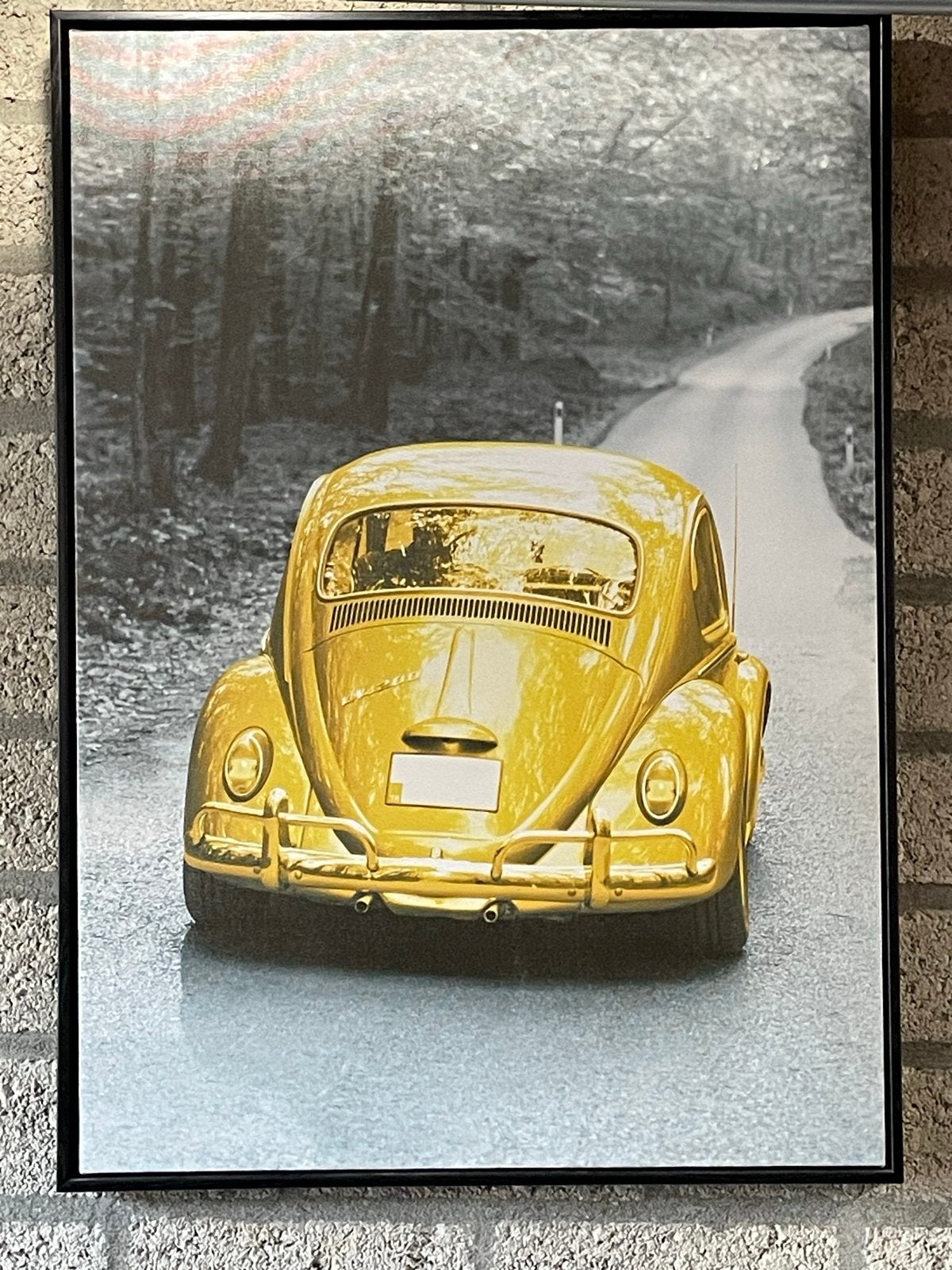 Gouden Kever Poster - Zwart-wit bos, Ophalen of Verzenden, Zo goed als nieuw, Foto of Poster, 75 – 100