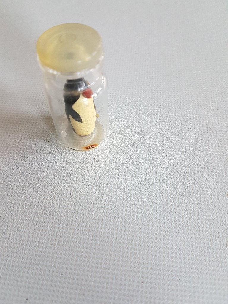 pinguïn in flesje voor in de letterbak, Ophalen of Verzenden, Zo goed als nieuw