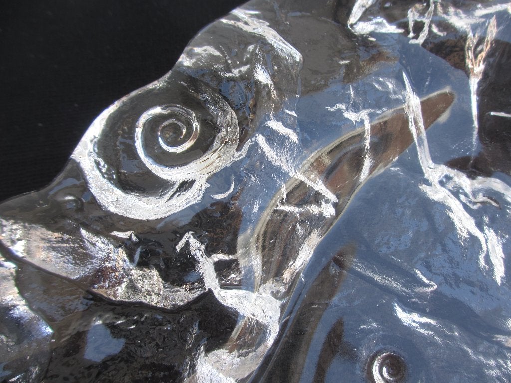 Walther Glas 'Fossil Bowl' door Jolanda Prinsen, Ophalen of Verzenden
