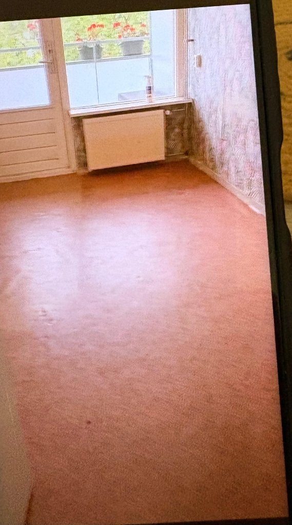 twee kamers te huur in Haarlem. Alleen voor vrouwen., 20 tot 35 m², Haarlem