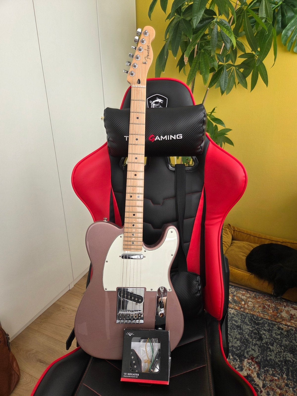 Fender Telecaster LTD Player Bourgondy Mist - Nocasters '51, Muziek en Instrumenten, Snaarinstrumenten | Gitaren | Elektrisch