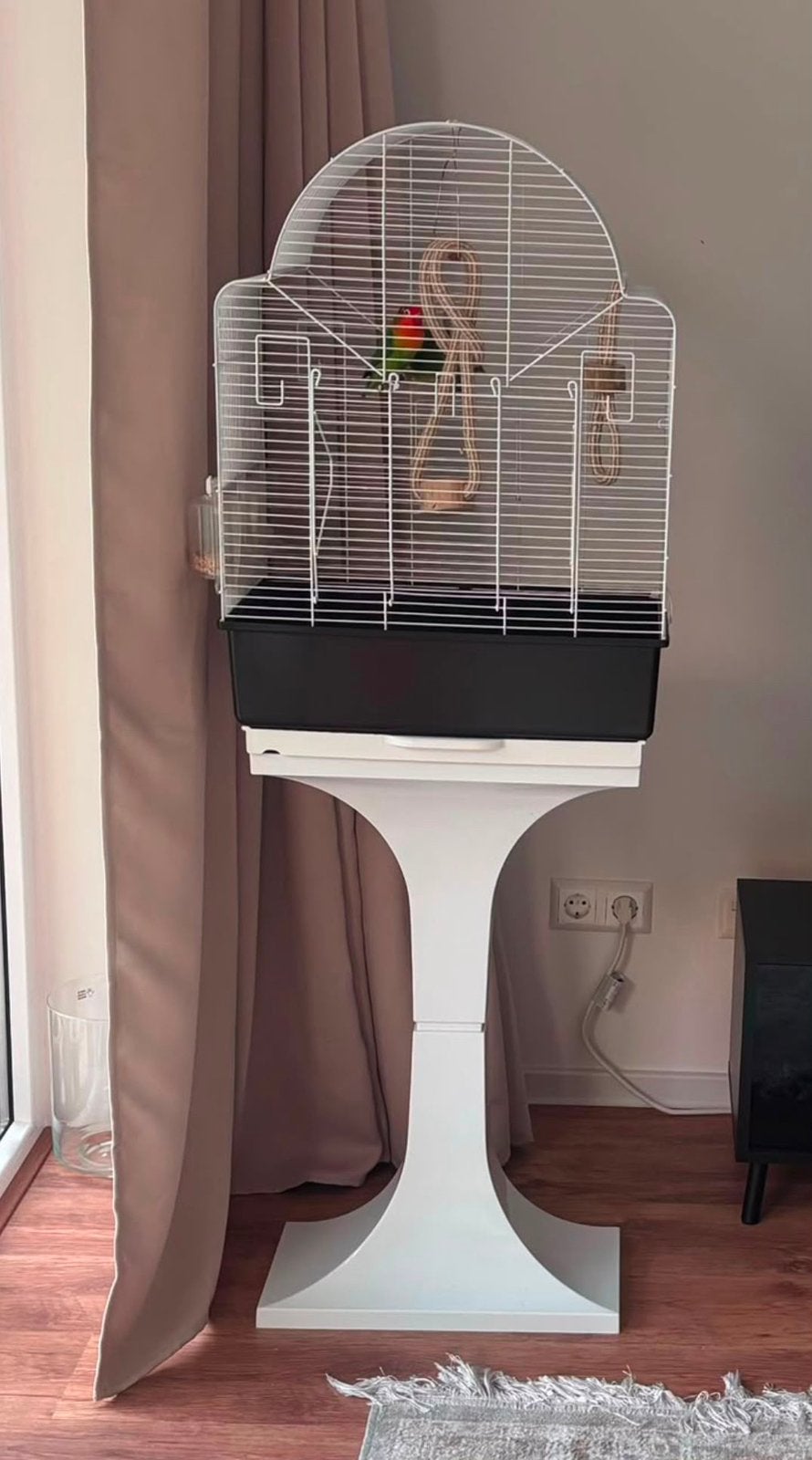 Cage, Dieren en Toebehoren, Meerdere dieren, Papegaai