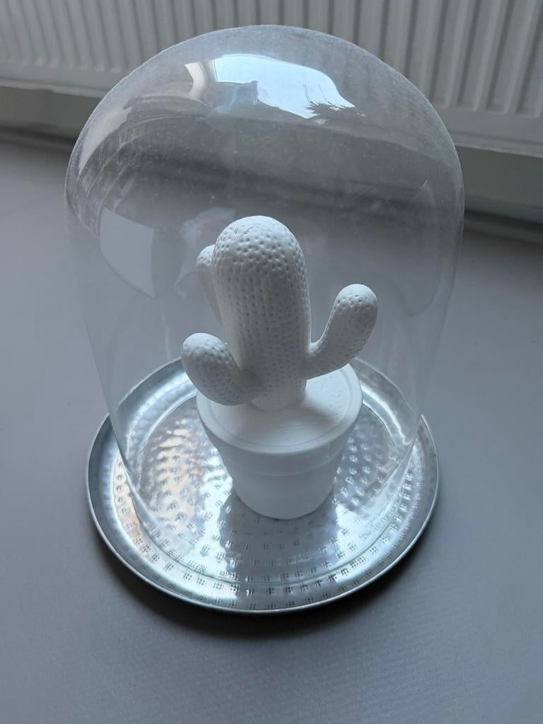 Glazen stolp met keramieken cactus, Ophalen of Verzenden, Zo goed als nieuw