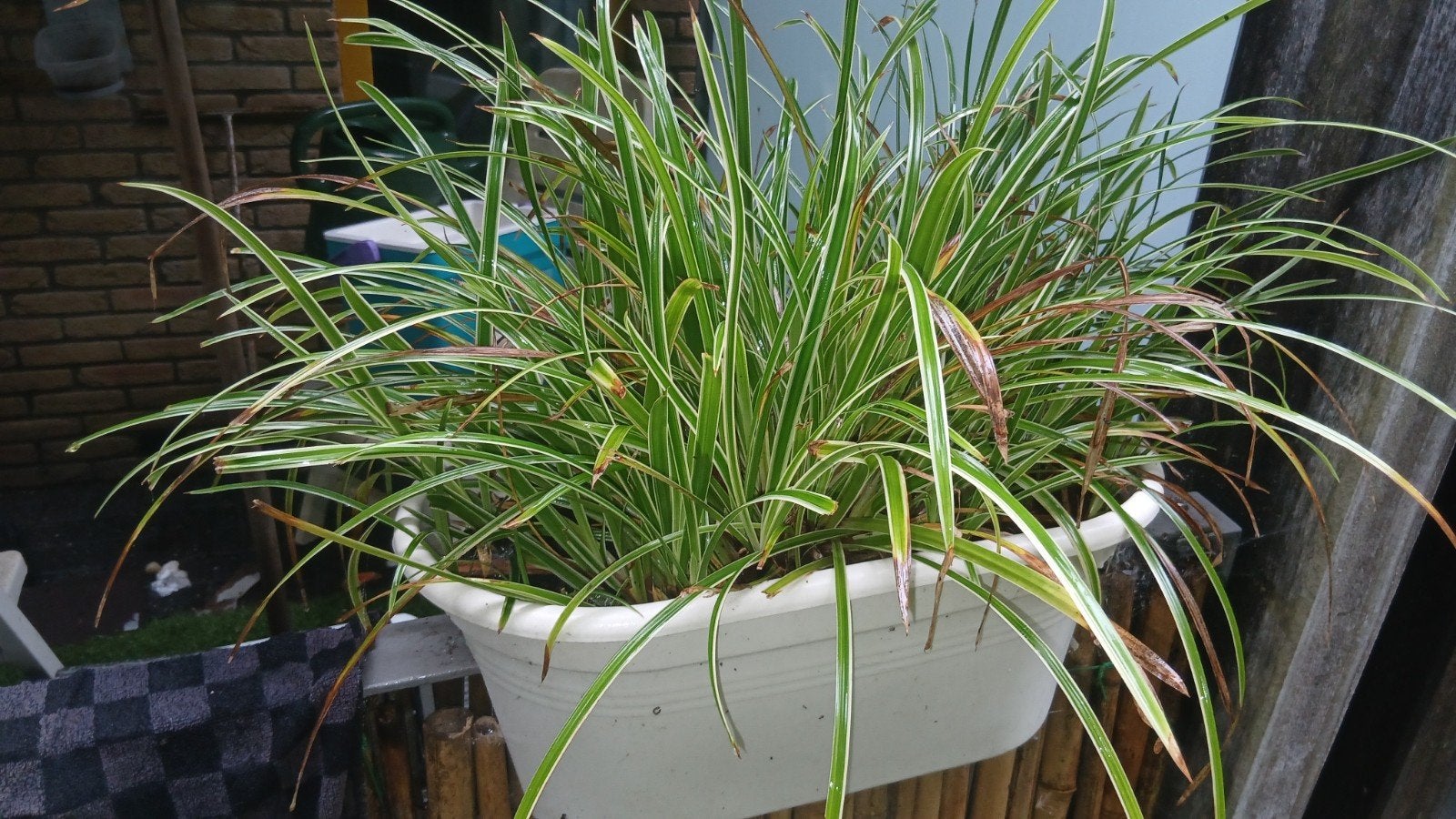 Witte bloembak met diverse planten, Tuin en Terras, Kunststof, Gebruikt, Ophalen of Verzenden, Binnen