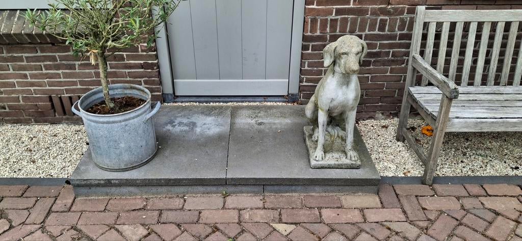 Terrastegels, Ophalen, Beton, Terrastegels