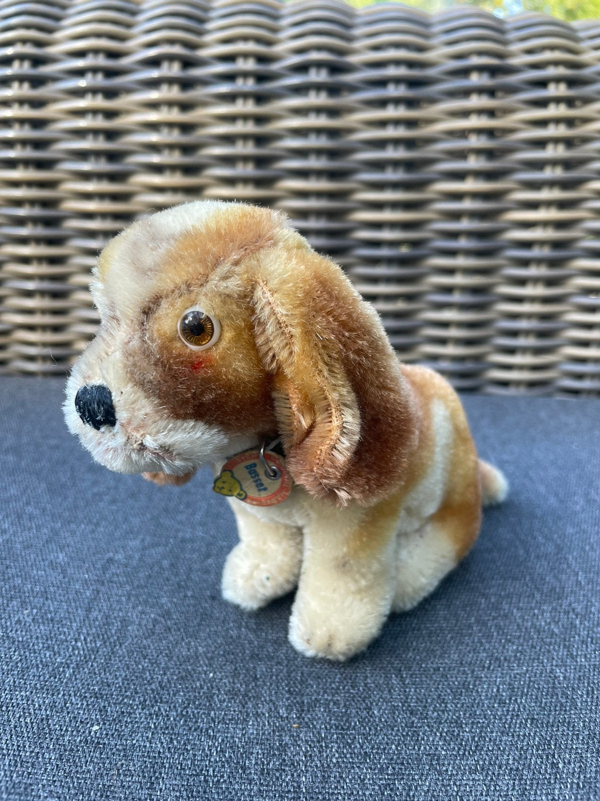 Steiff Basset 60-er jaren, Gebruikt, Overige merken, Klein (minder dan 20 cm), Beige