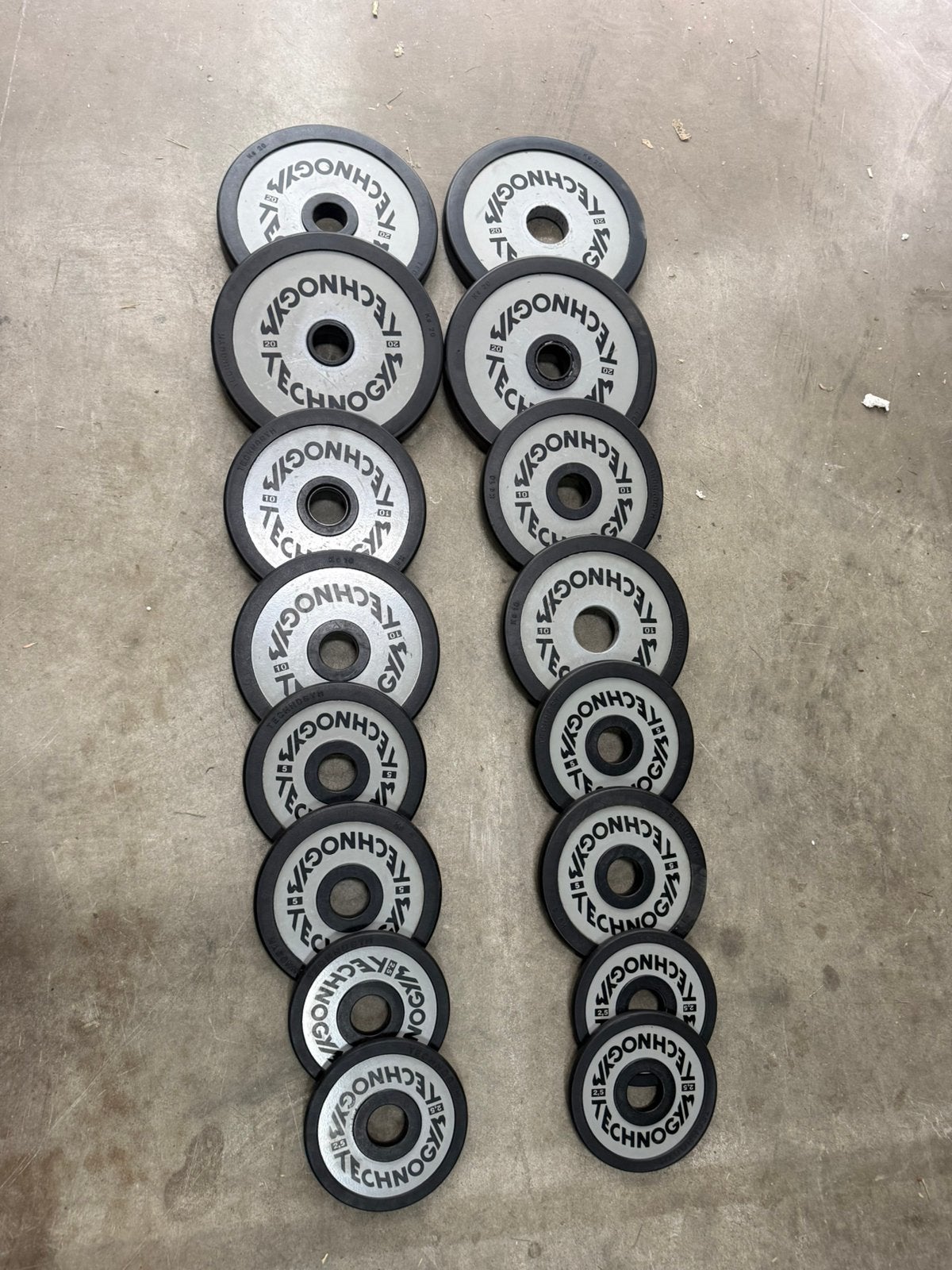 150 kg technogym schijven / gewichten / 50 mm / fitness